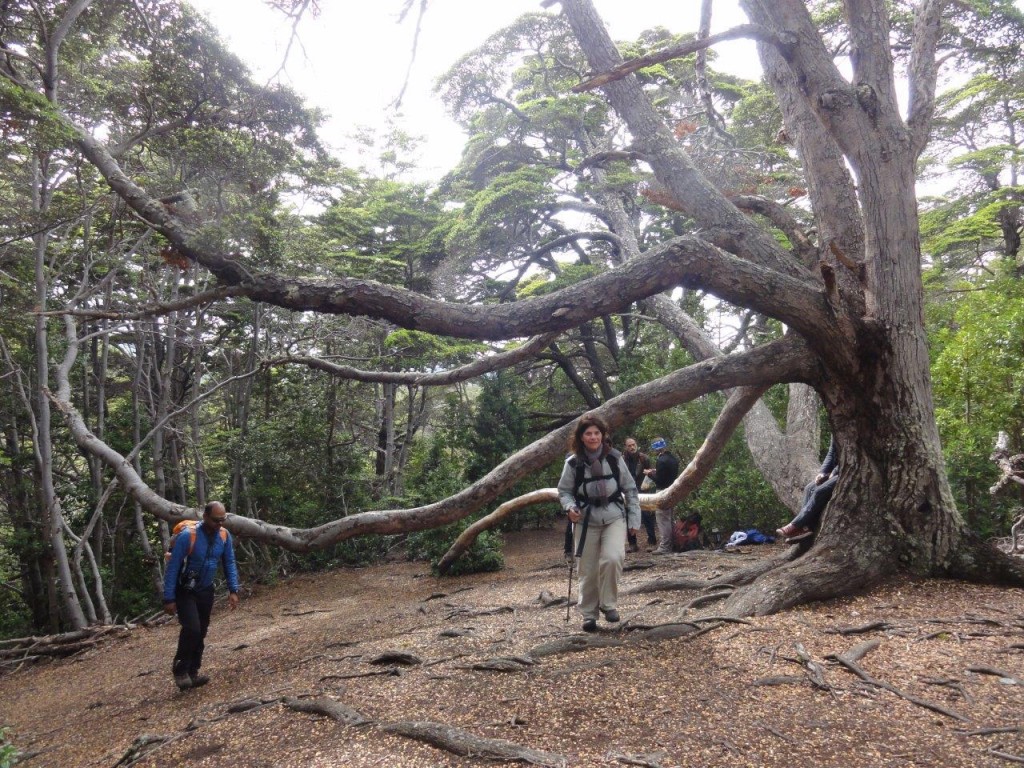 Parc National - trekking -5