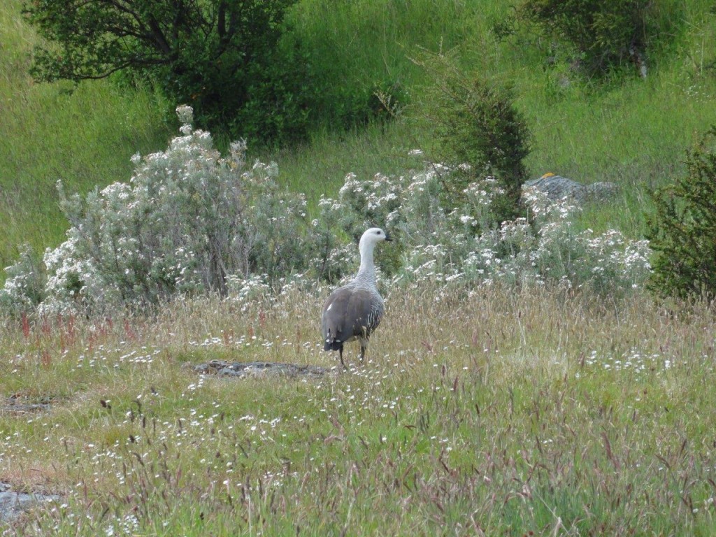 Parc national - trekking -4