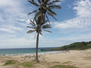 la jolie plage d'Anakena