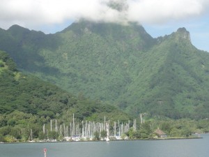 port de plaisance