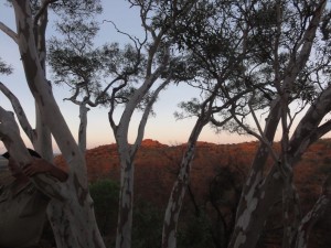 le soleil ne passe pas encore au-dessus du canyon