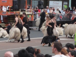 entrainement de la chorégraphie pour la danse des moutons !