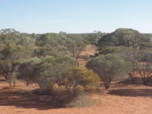 la terre devient très rouge