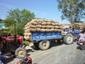 Sur la route, nous croiserons des dizaines de camions transportant des patates jusqu'à une coopérative