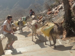 la montée est rude même pur les ânes qui transportent du sable pour des travaux de construction...d'une télécabine !