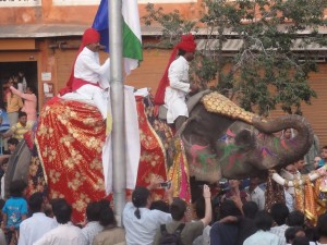 les éléphants étaient très maquillés